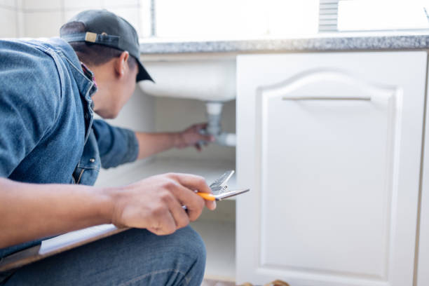 Best Clogged Drain Plumber  in Hamshire, TX