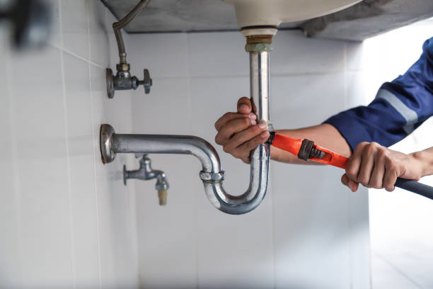 Best Sewer Line Repair  in Hamshire, TX